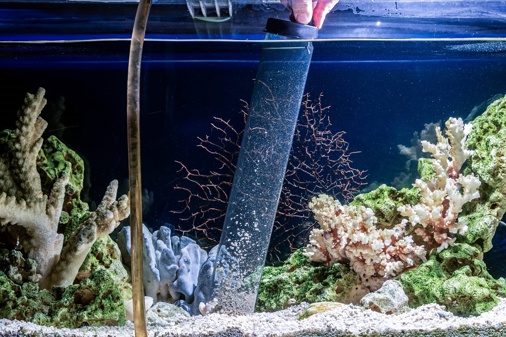 Reef Tank Water Change – Your First Time Guide