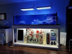 Best reef tank gadgets for beginners