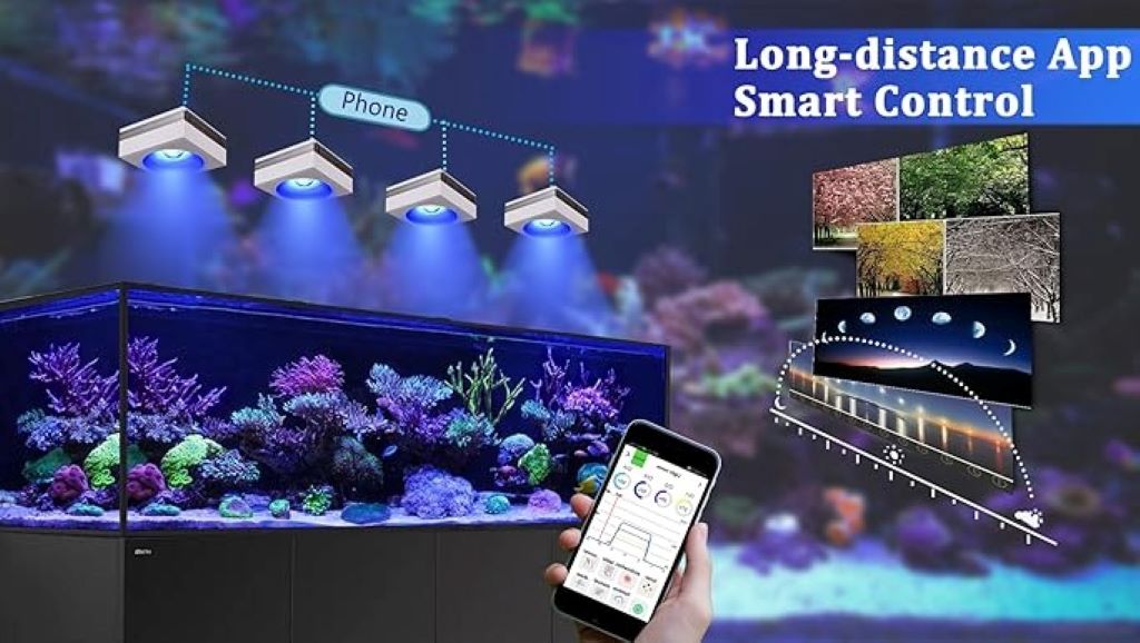 Best reef tank leds reddit