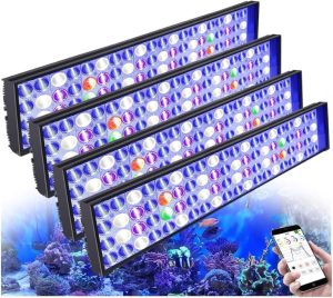Best Reef LED light Bar