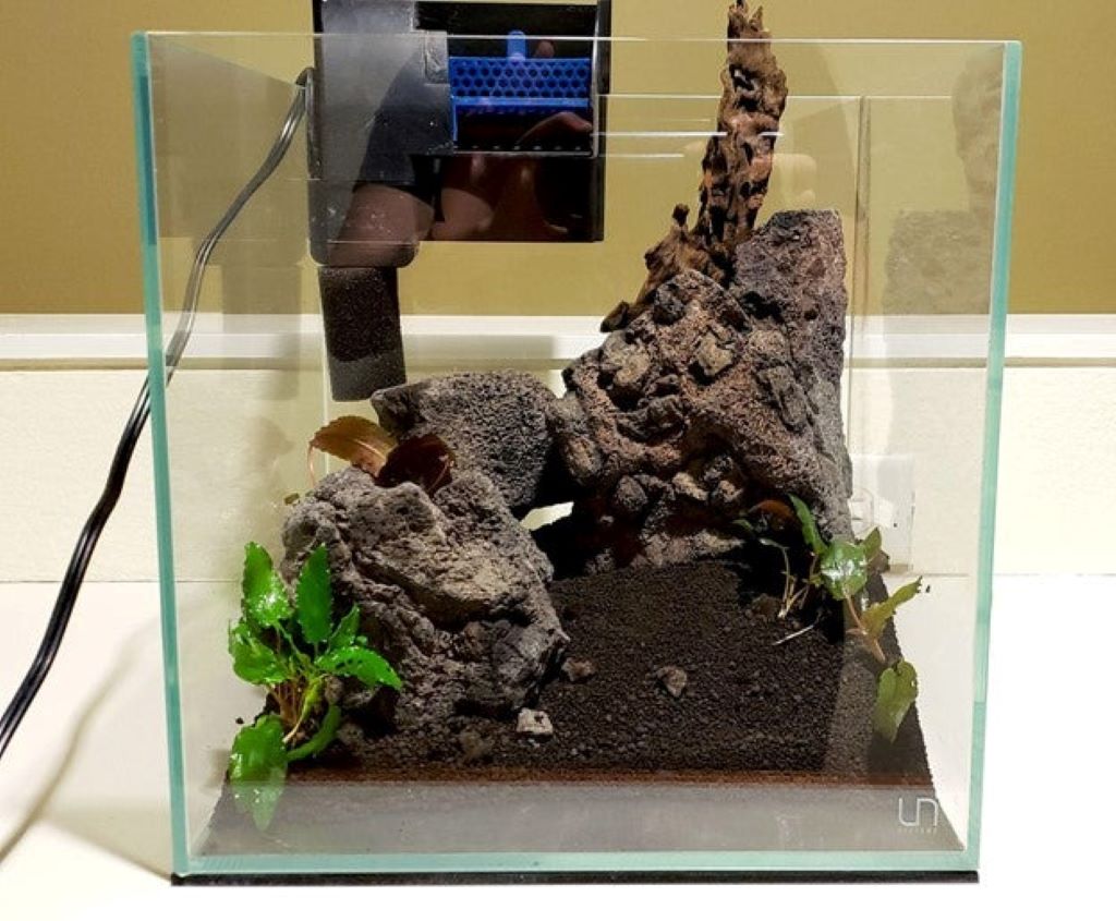 Low tech reef aquarium setup