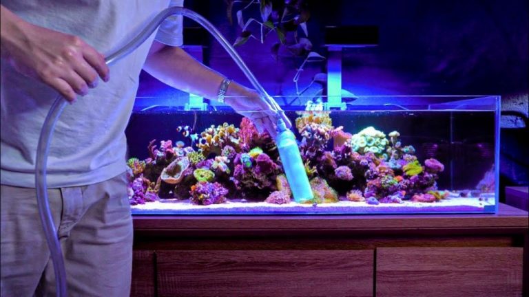 Low tech reef aquarium price