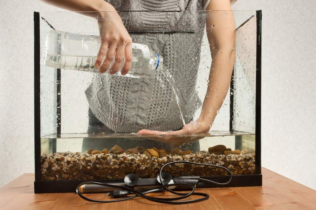 How to Properly Clean Your Fish Tank - Aquarium Co-Op