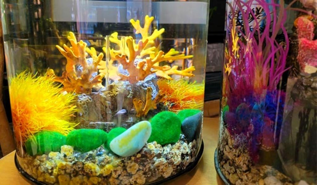 Choosing the right phosphate control method in reef aquariums