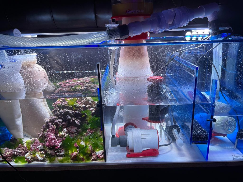 Best diy reef aquarium sump filter media compartment ideas