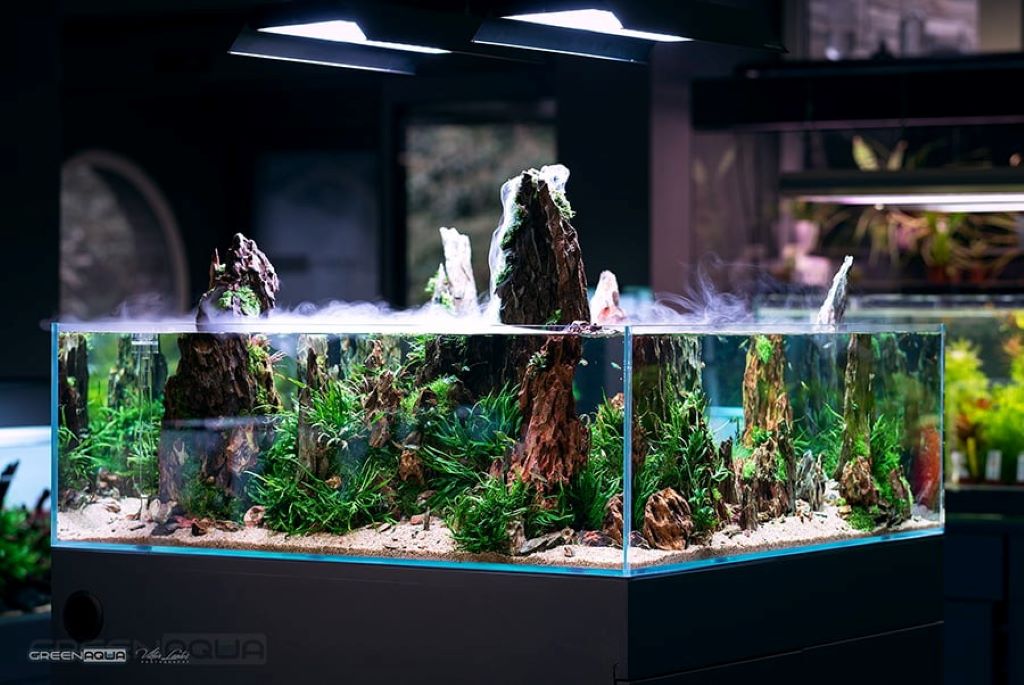 Best aquarium lighting maintenance guide
