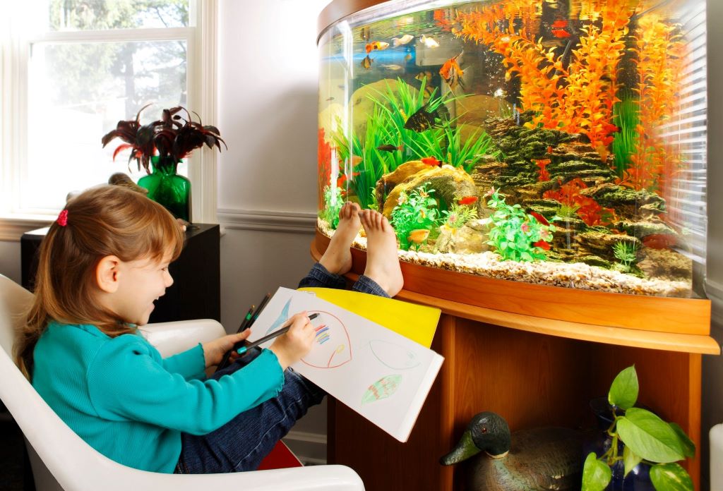 Childproofing aquarium stands tips and best practices forum