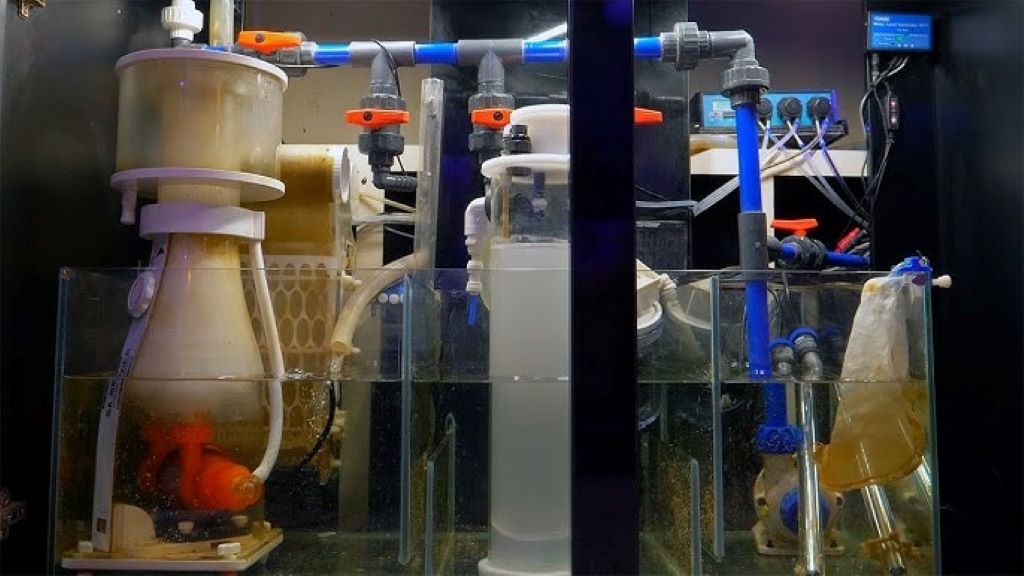 Cleaning a reef tank sump efficiently without