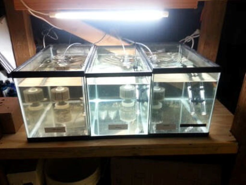 How effective are aquariums as humidifiers