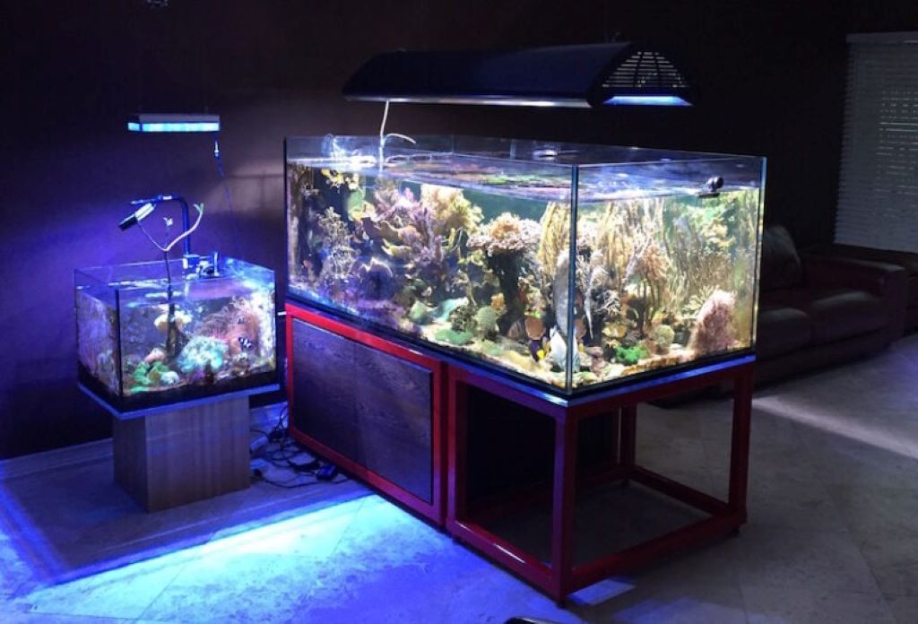 What are the rules for aquarium stand