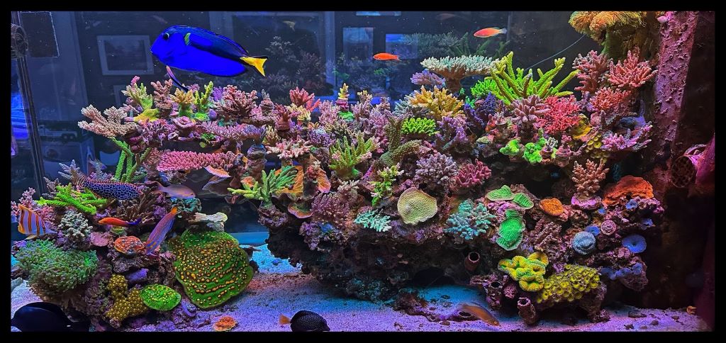 Can artificial decor harm reef tank inhabitants?