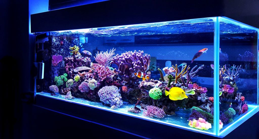 Is vinegar safe for cleaning reef equipment?