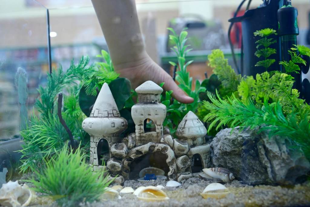 Creative Ways to Hide Air Stone with Artificial Decor
